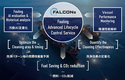 falconsサムネイル